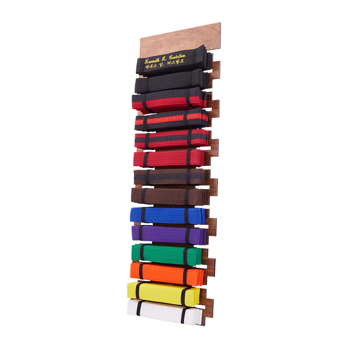 14 Level Belt Display - Image 3