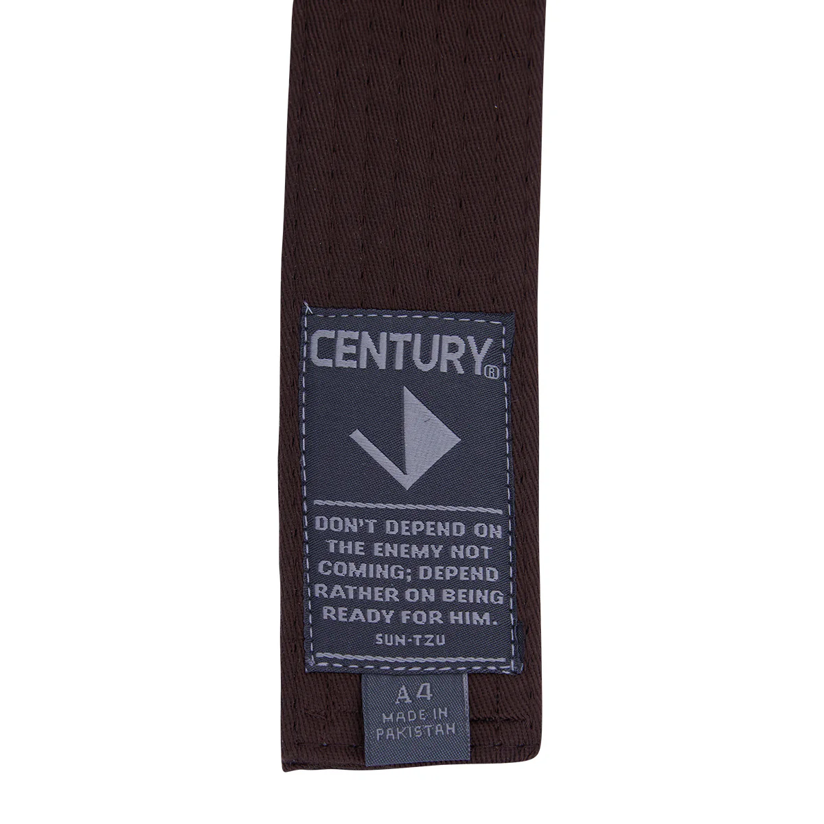 Adult Brazilian Jiu-Jitsu Belt - Image 17
