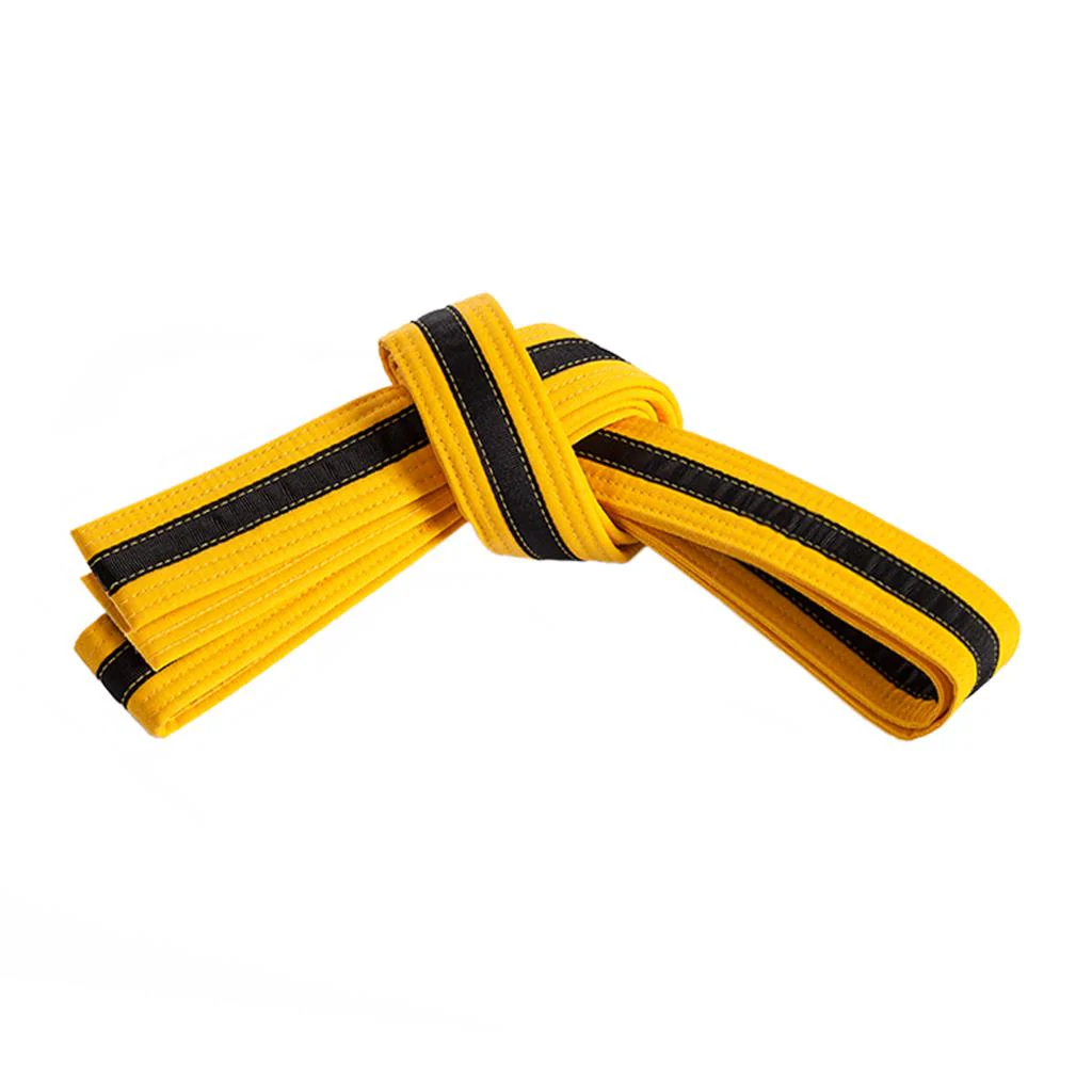 Double Wrap Black Striped Belt - Image 7