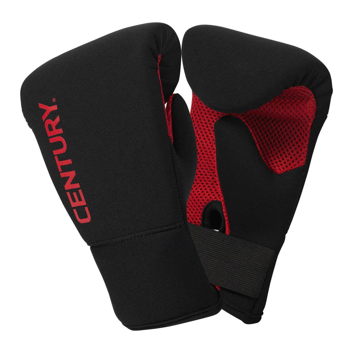 Partner Training Combo - Image 2