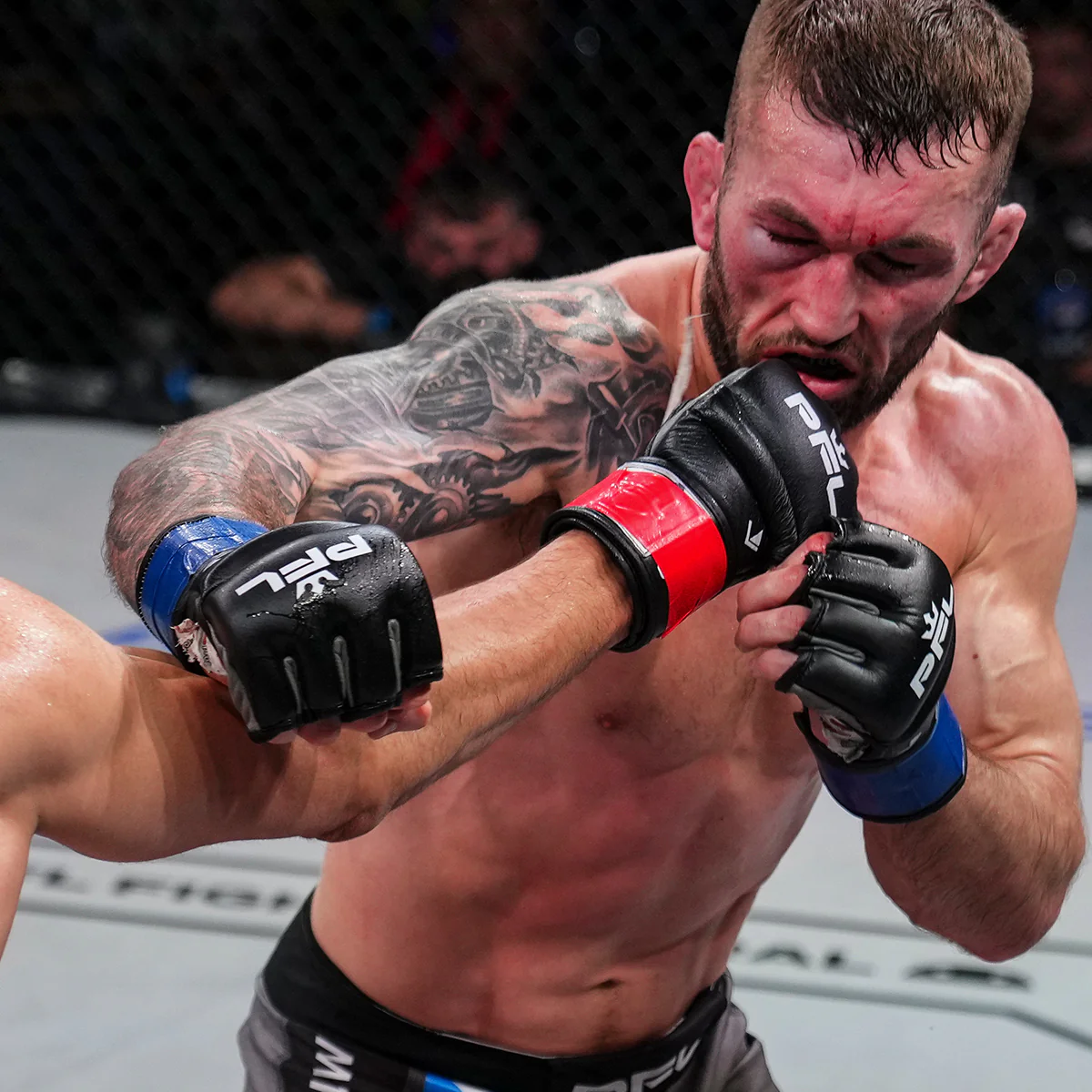 PFL Official MMA FIght Glove - Image 2