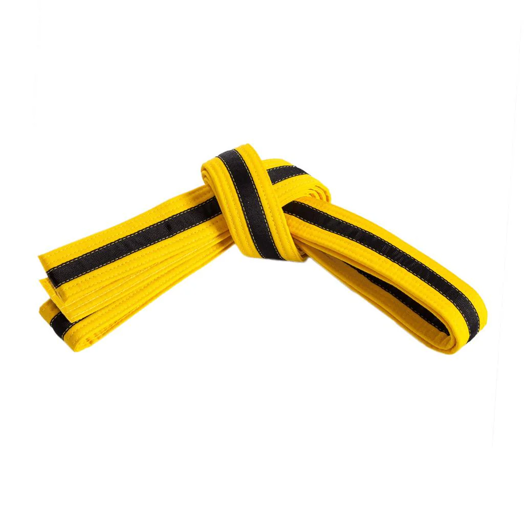 Single Wrap Striped Belt - Image 4