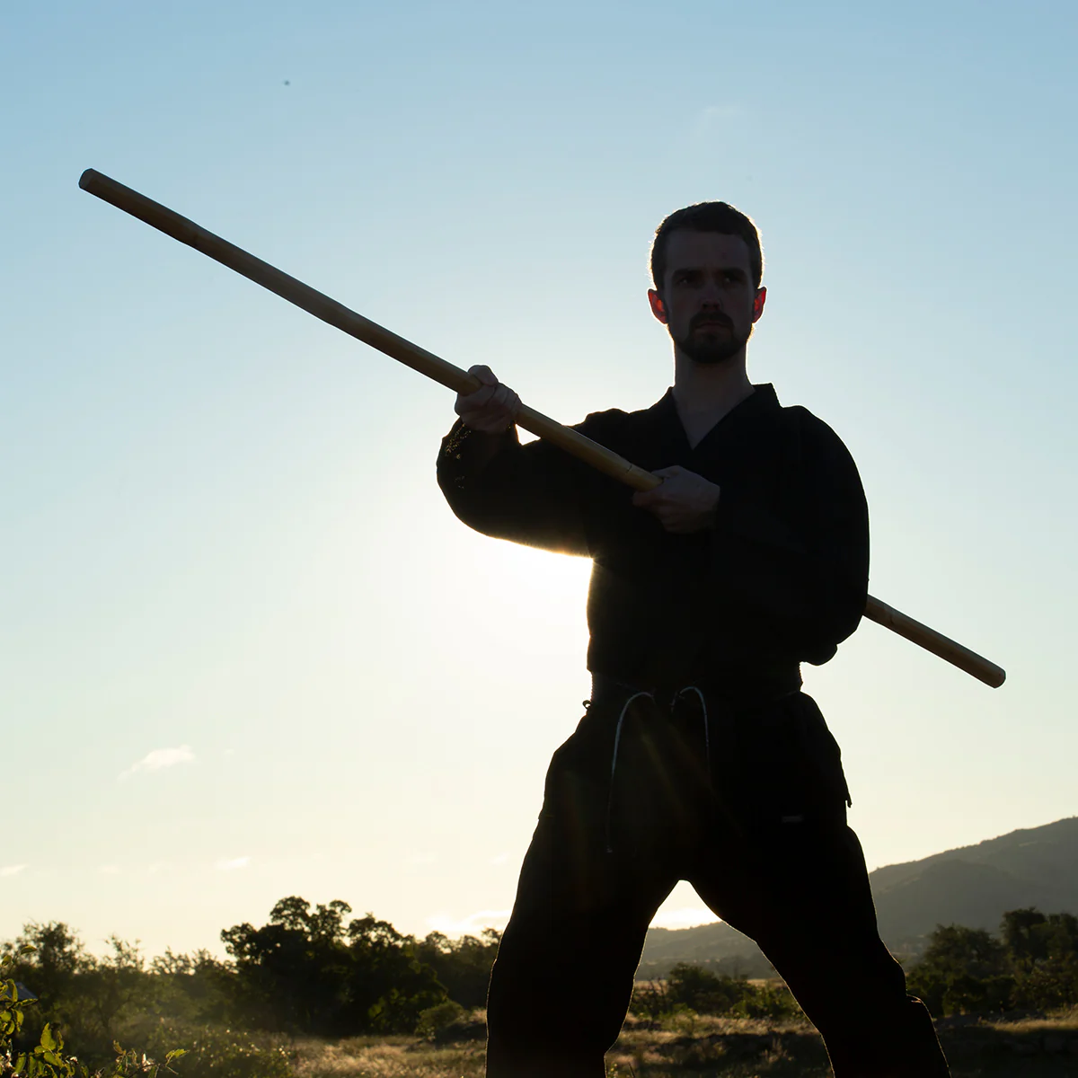 Straight Hardwood Bo Staff - Image 2