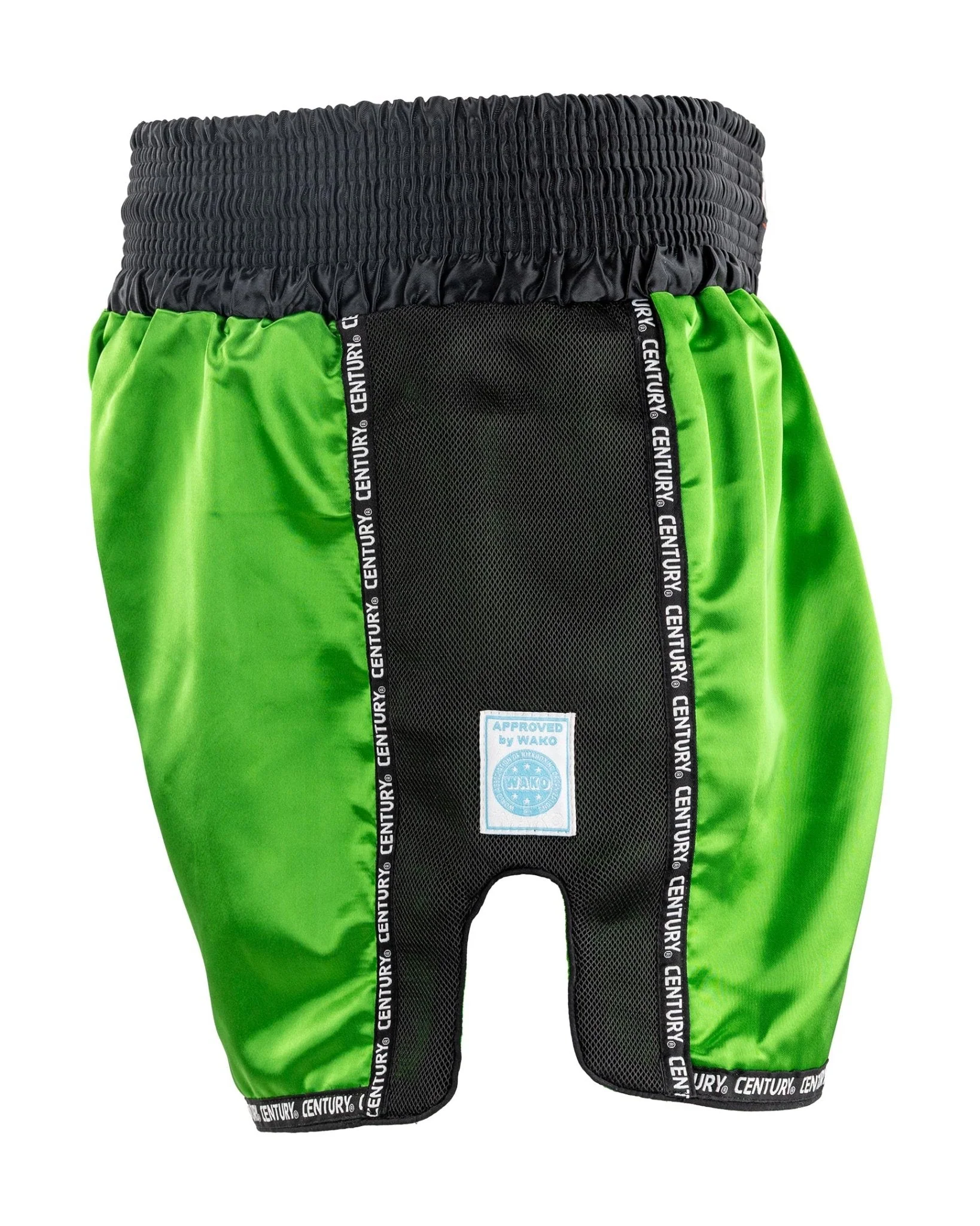 WAKO K1/LOW KICK SHORT 2.0 - Image 11