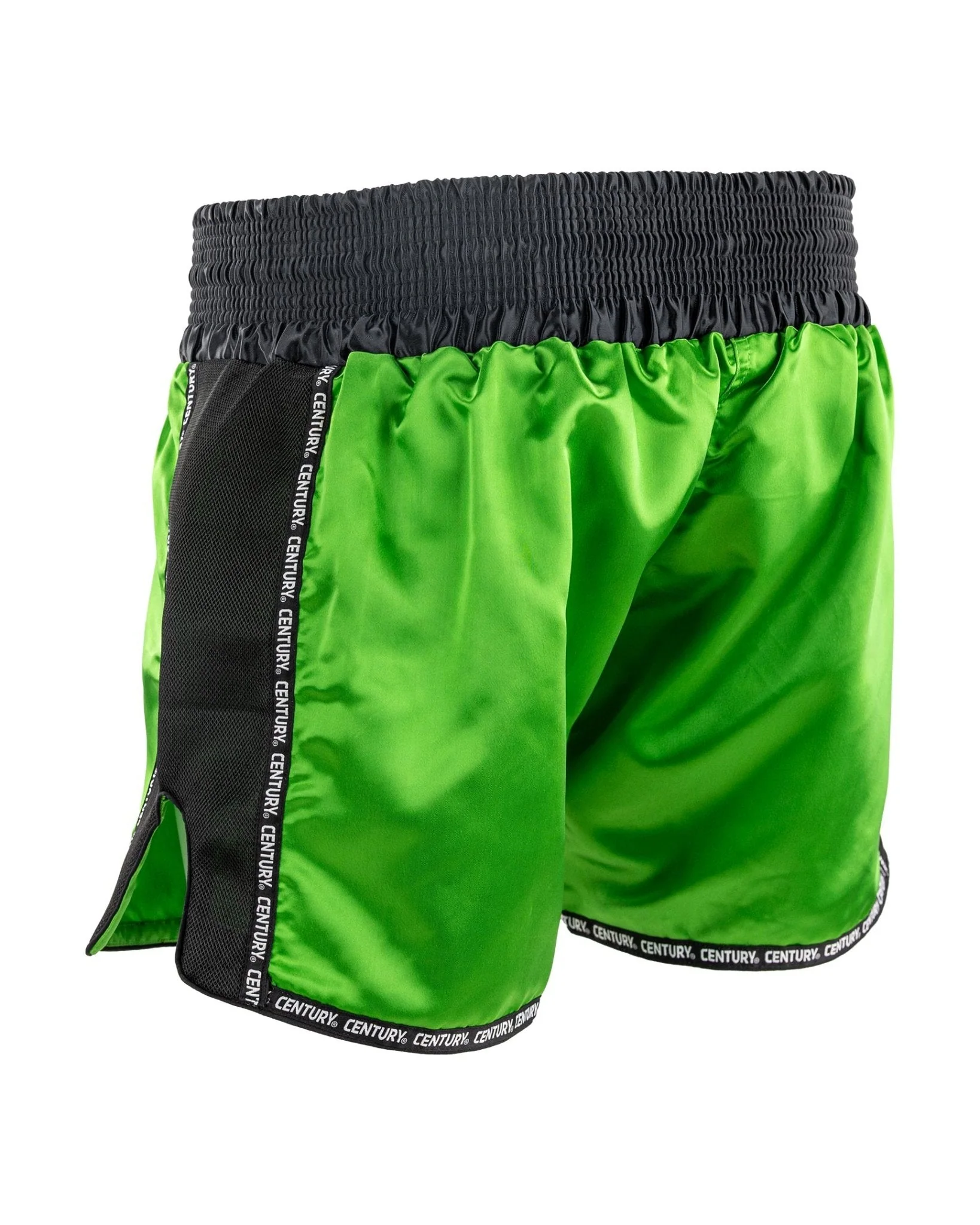WAKO K1/LOW KICK SHORT 2.0 - Image 13