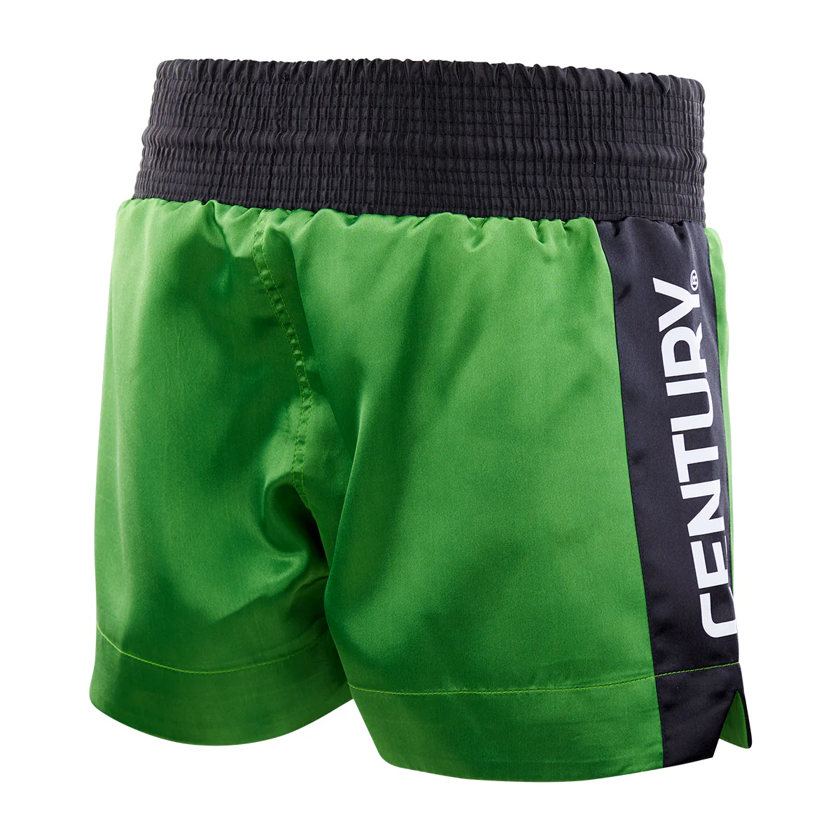 WAKO Kickboxing Shorts - Image 14