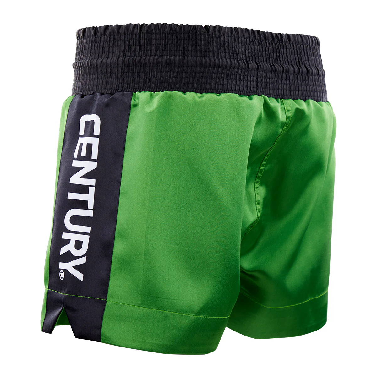 WAKO Kickboxing Shorts - Image 15