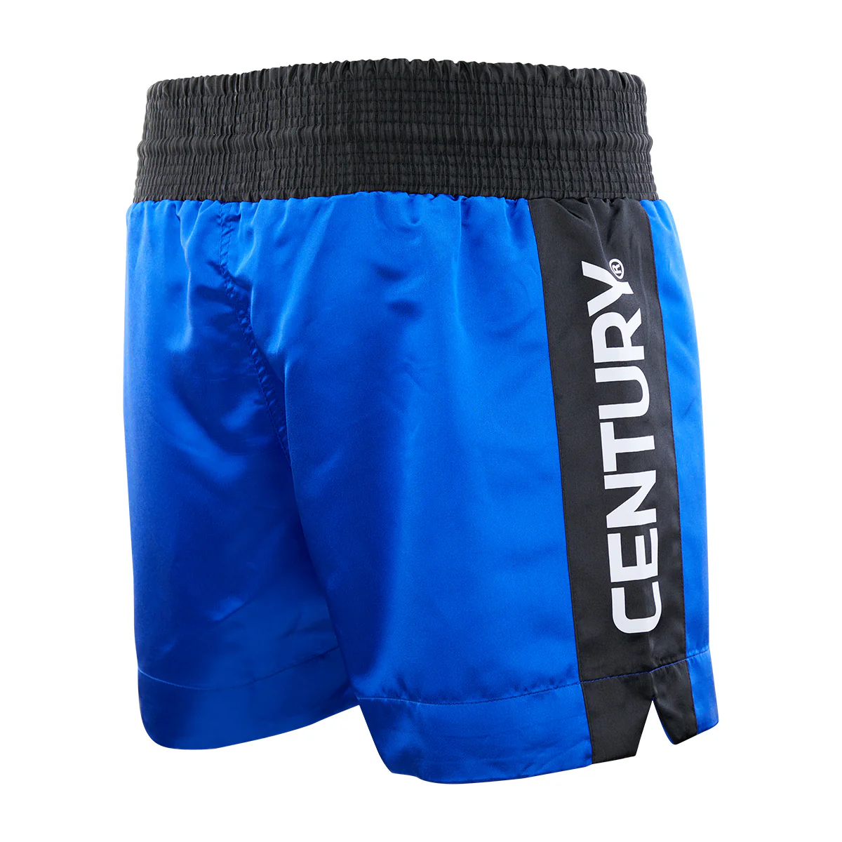 WAKO Kickboxing Shorts - Image 22
