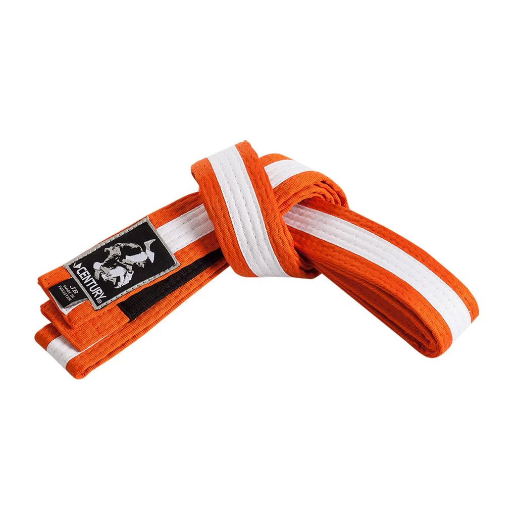 Youth Jiu-Jitsu Striped Belt - Image 13