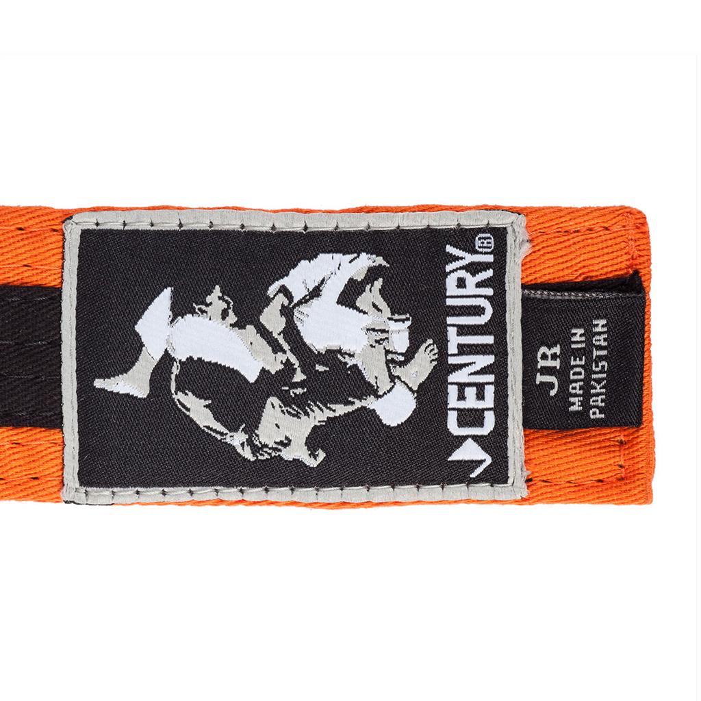 Youth Jiu-Jitsu Striped Belt - Image 17