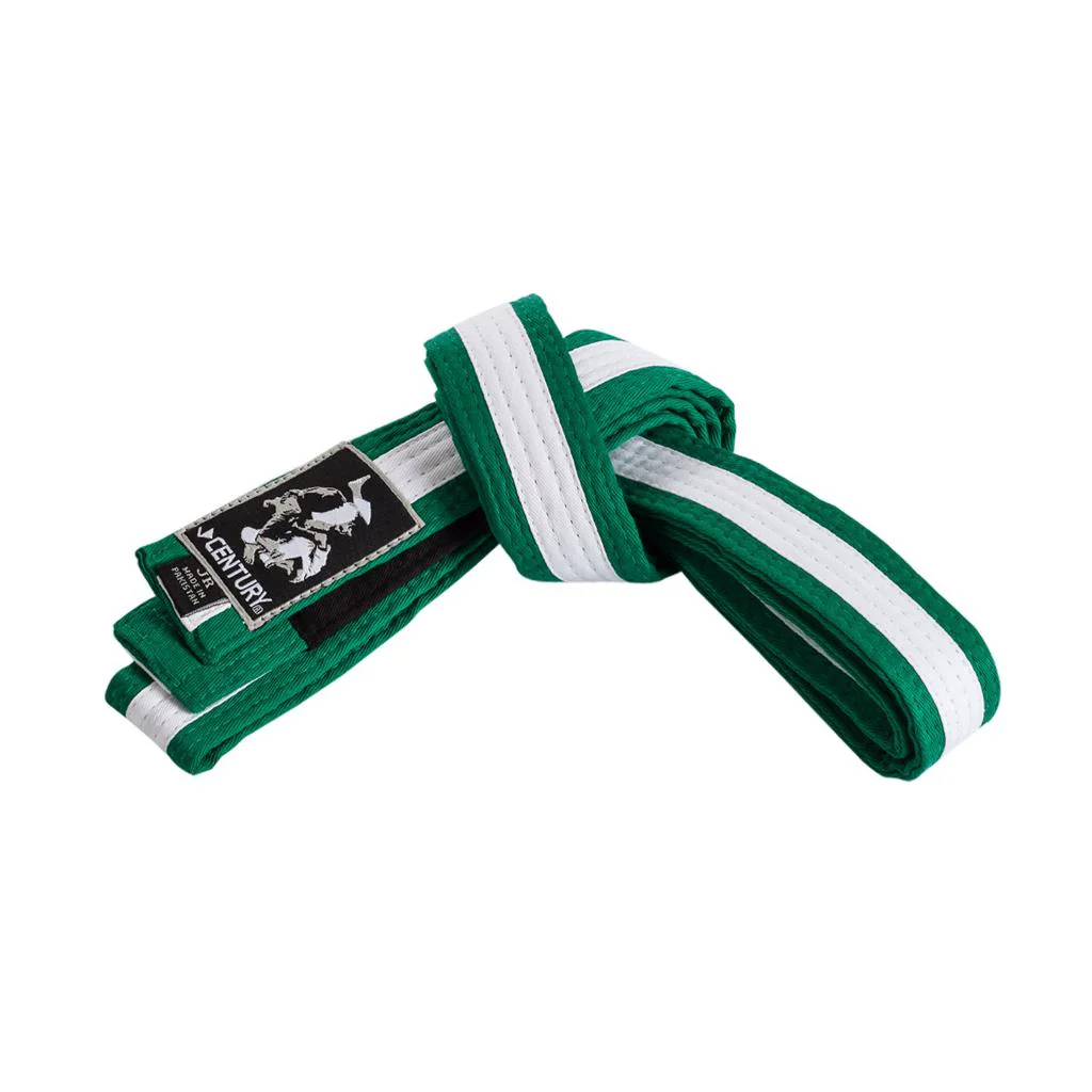 Youth Jiu-Jitsu Striped Belt - Image 19