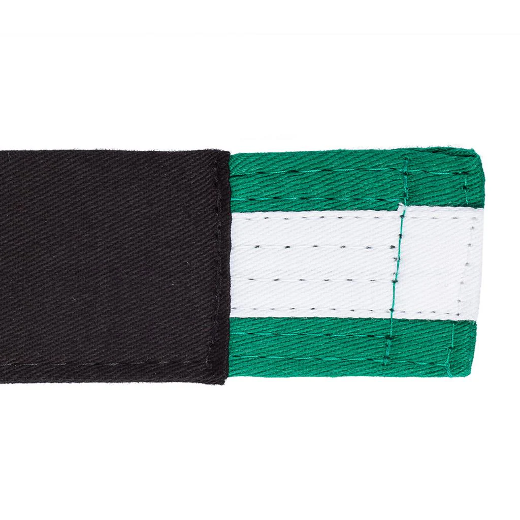 Youth Jiu-Jitsu Striped Belt - Image 21